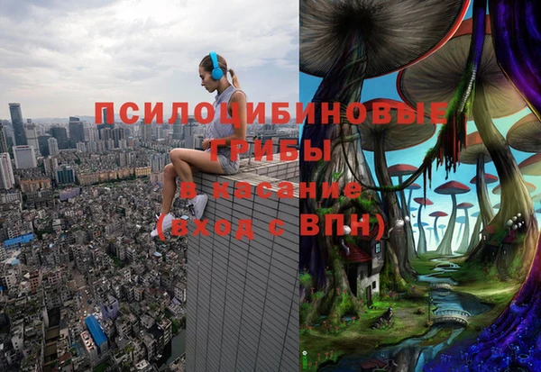 спиды Алексин