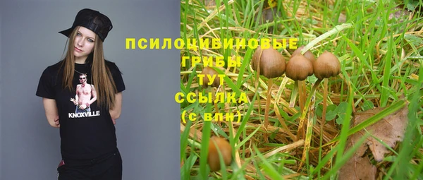 амф Алексеевка