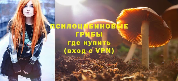 амф Алексеевка