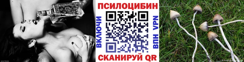 Псилоцибиновые грибы GOLDEN TEACHER  Старый Оскол 